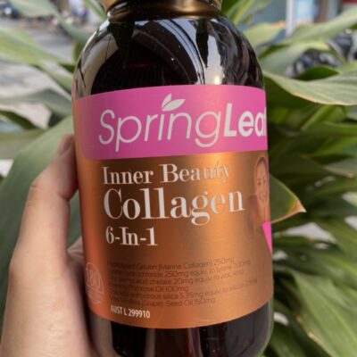 Collagen 6 1 3