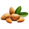 Hạt Hạnh Nhân Mỹ Còn Vỏ 1Kg 2 Hat Hanh Nhan1